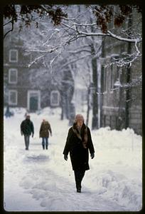 Snow in Harvard Yard in 1977-1978 blizzard, Cambridge