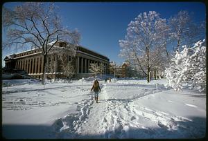 Widener Library, Harvard Yard after 1977-1978 blizzard, Cambridge