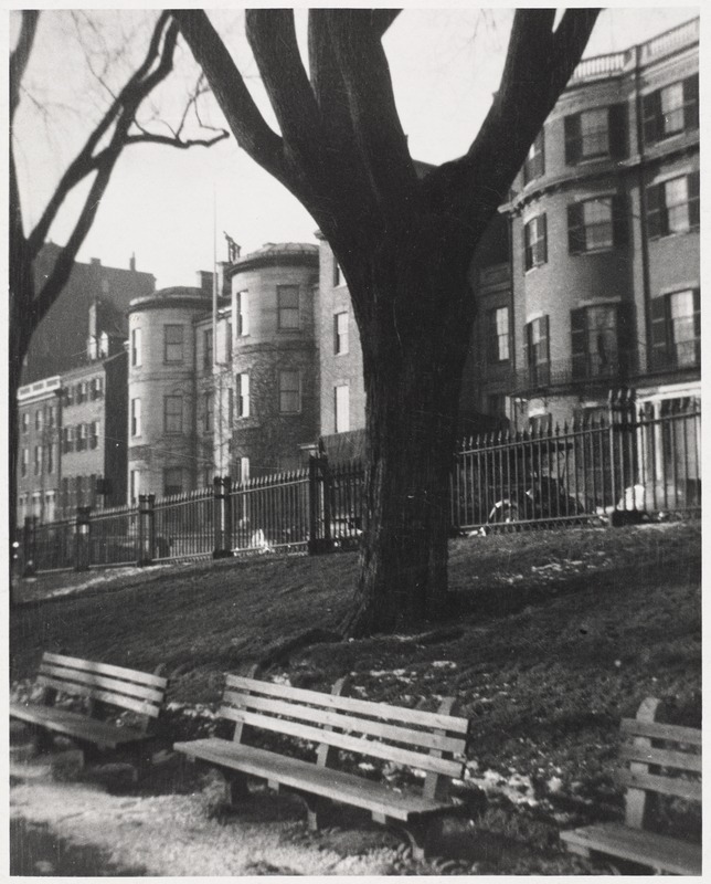 Beacon Street from Boston Common