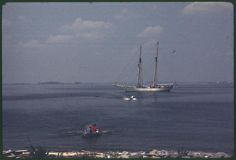 On Great Brewster Island