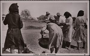 Cypriot natives. Winnowing