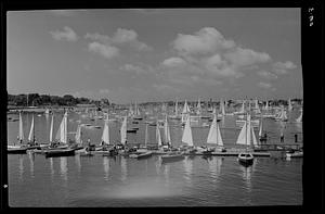 Race week, Marblehead