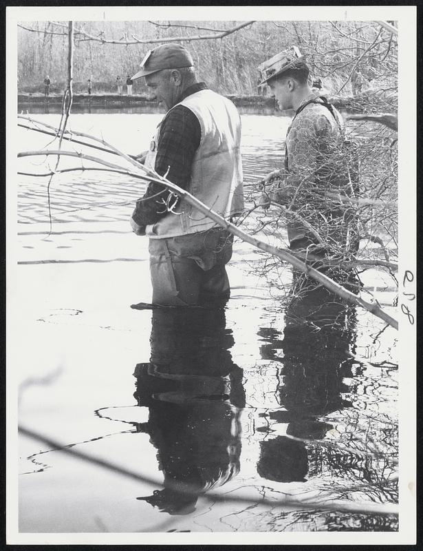 Ashford Fish & Game Clubs Trout Derby Digital Commonwealth