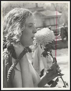 Youthful Anti-War demonstrator carries white chrysanthemum as a peace symbol to yesterday's rally on Boston Common.