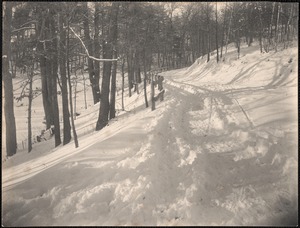 Wood sled road to wood lot. Mill pond road, Wayland.