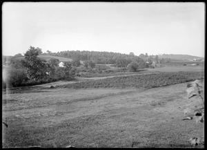 Panorama of fields and houses