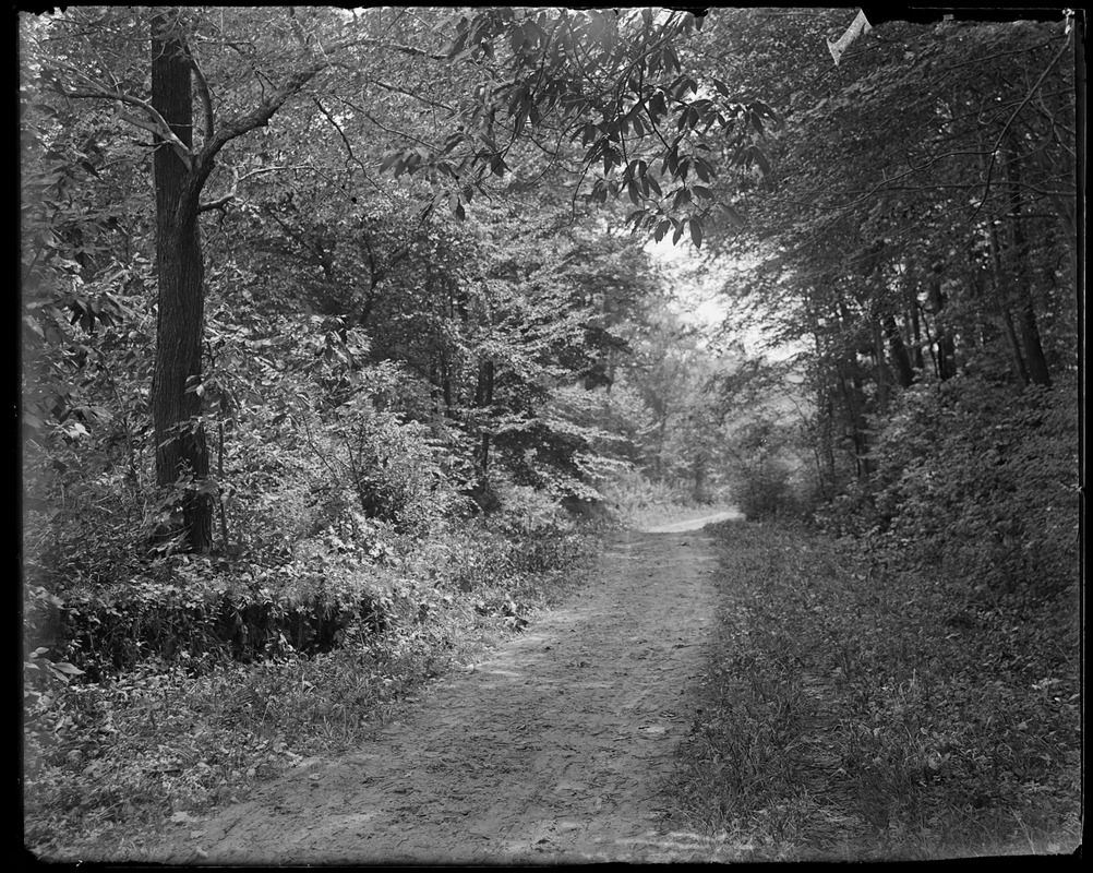 Mill Road near Stuckert's farm Digital Commonwealth