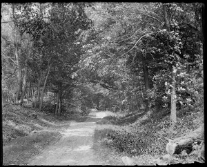 Mill Road near Stuckert's grove