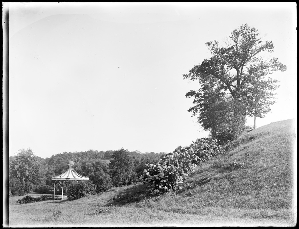 Forest Park, gazebo + panorama