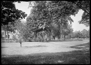 Longmeadow St. south from Bliss St.