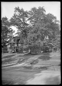 Maple front of Noble house