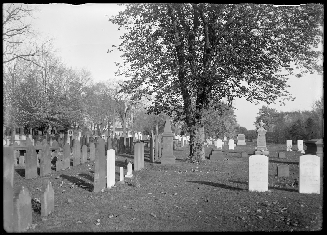 Cemetery looking east from church