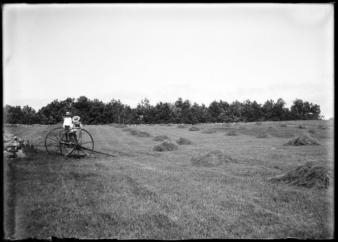 Hay field