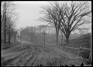 M. Goldthwaite vale below green, southend