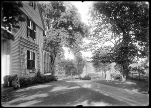 Noble house, south side + driveway