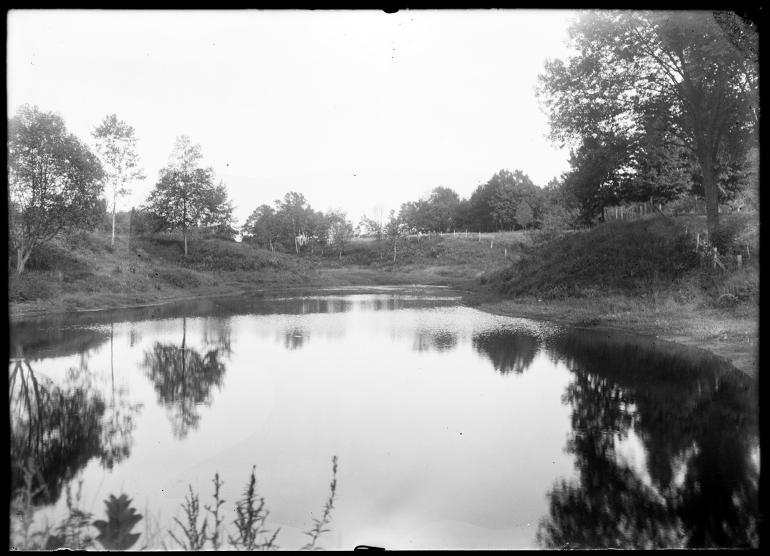 Noble pond