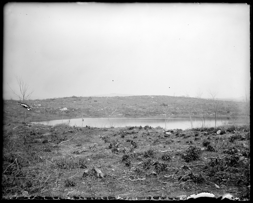 Sadler's pond J. Warrens