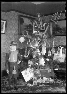 Christmass tree, Harvey Bisco