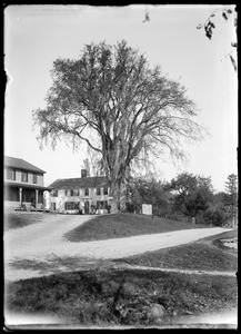 Great Elm and Washington Hill house, Hillsville