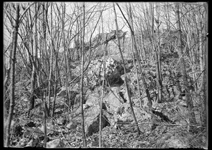 Rocky ledge near Mannings Spencer, Mass