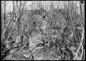 Rocky ledge near Mannings Spencer, Mass