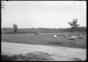 Field view Concord