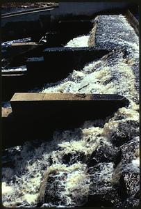 New dam with fish ladders North River