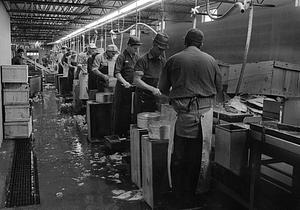 Aiello Brothers Fish Processing Plant, New Bedford