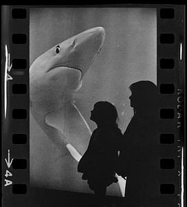 Children & NE Aquarium shark transparency, Boston