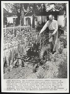 Acheson Cultivates Garden--Secretary of State Dean Acheson cultivates his flower garden with a small tractor today during a week-end of relaxation from diplomatic problems at Harewood Farm, his country estate near Sandy Spring, Md., some 25 miles from downtown Washington. At left of tractor is a row of gladiolas, Acheson's favorite flower. In background are his workshop (right) and wood shed.