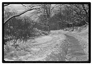 Snow pictures - Fenway