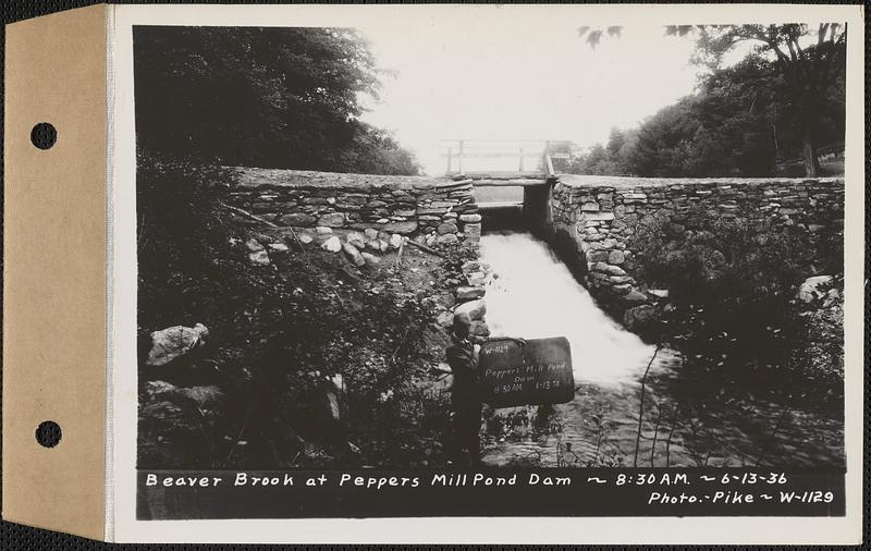Beaver Brook at Pepper's mill pond dam, Ware, Mass., 830 AM, Jun. 13