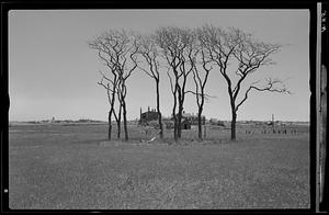 Landscape of houses in a field, Nantucket