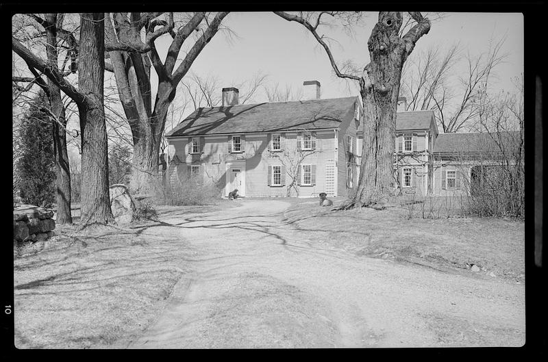 House with dogs, Newton