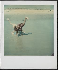 Beach cartwheels