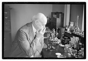 Dr. Frank Burr Mallory, pathologist