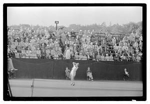 International tennis championship