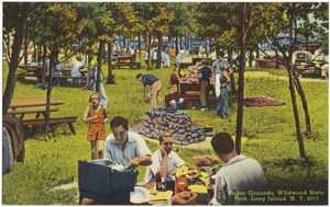 Picnic grounds, Wildwood State Park, Long Island, N. Y.