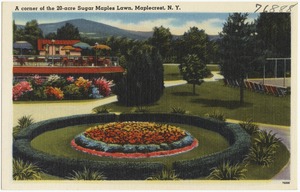 A corner of the 20-acre Sugar Maples Lawn, Maplecrest, N. Y.