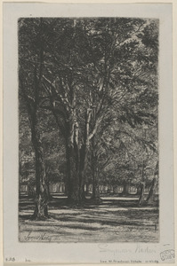 Kensington Gardens, no. II (large plate)