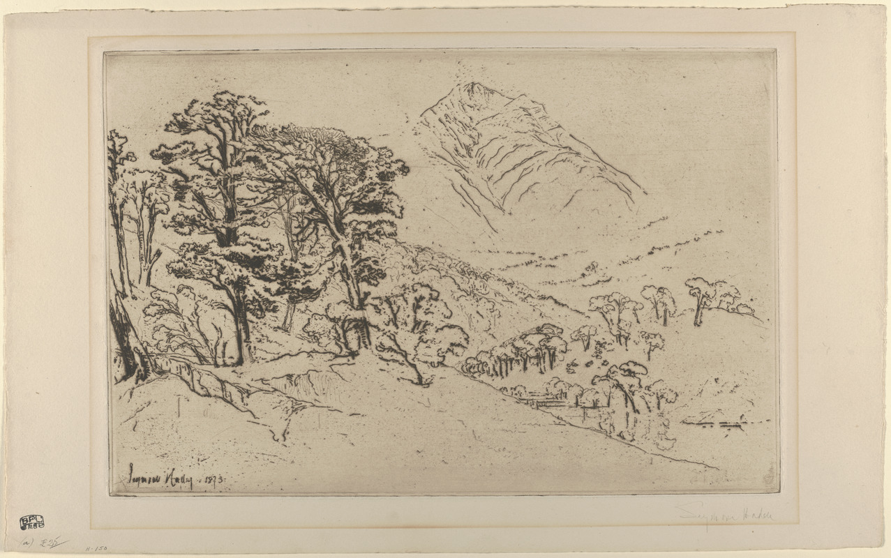 Scotch Firs, Inveroran