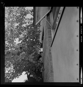 Side of building with tree