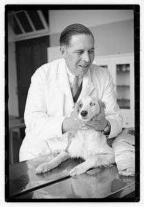 Dr. Dailey Angell Memorial Animal Hospital