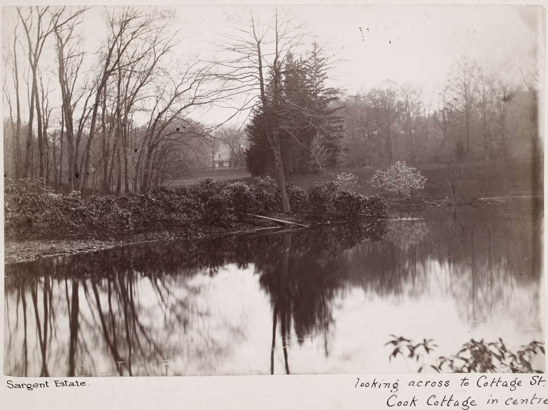 Sargent Estate Digital Commonwealth