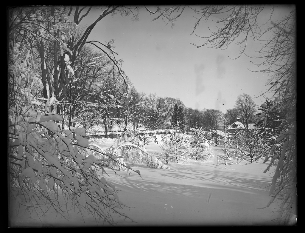 Schlesinger Estate Digital Commonwealth