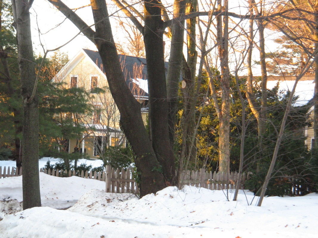 10 Bailey Road Digital Commonwealth