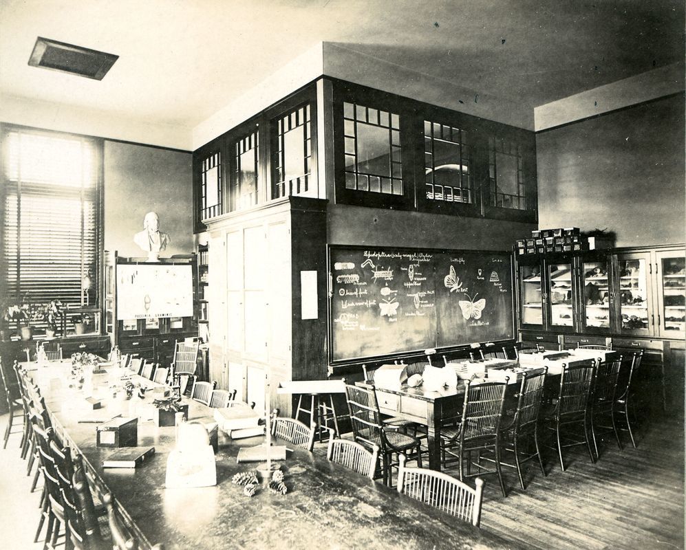 The Biology Room, May Hall, c.1892