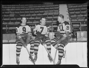 Goldsworthy, Wieland, and Beattie of the Bruins