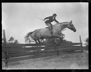 Horse jumping at horse show