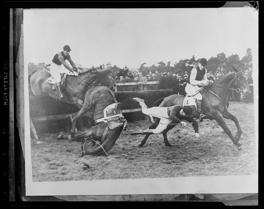 Horse spill at the Aldershot Military Race meet, England